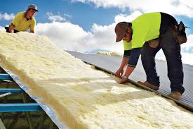 Best Insulation for New Construction  in Springerville, AZ