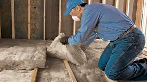 Best Garage Insulation  in Springerville, AZ