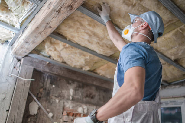 Best Spray Foam Insulation  in Springerville, AZ