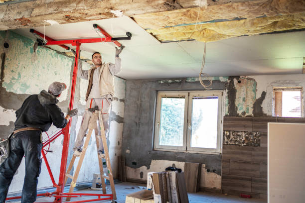 Best Eco-Friendly or Green Insulation Solutions  in Springerville, AZ