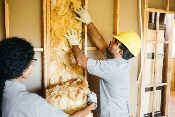 Types of Insulation We Offer in Springerville, AZ