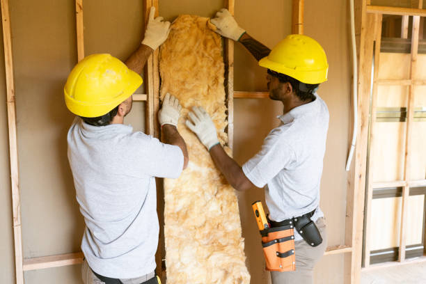 Best Commercial Insulation Services  in Springerville, AZ